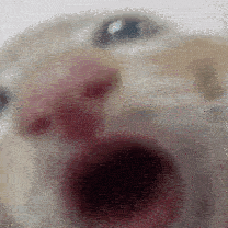 SUCKING SUCKLER SUCKING SUCKLER